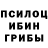 Псилоцибиновые грибы мицелий Max Cascades