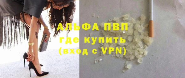 шишки Арсеньев
