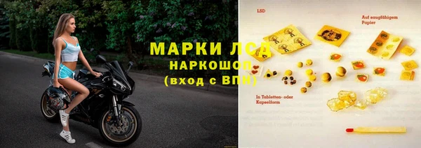 шишки Арсеньев