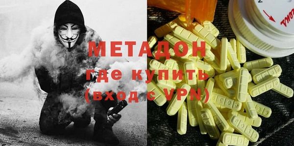 шишки Арсеньев