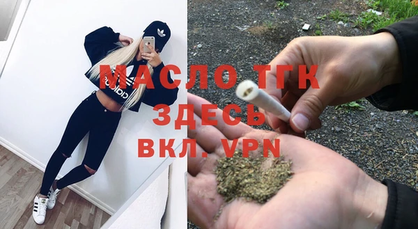 шишки Арсеньев
