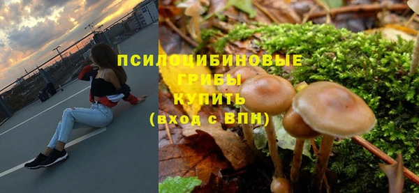 шишки Арсеньев
