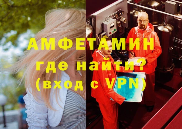 шишки Арсеньев