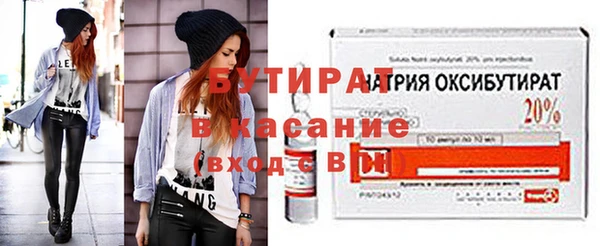 шишки Арсеньев