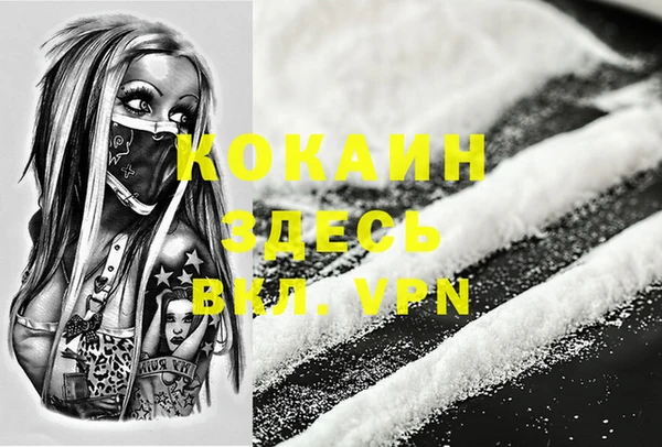 шишки Арсеньев