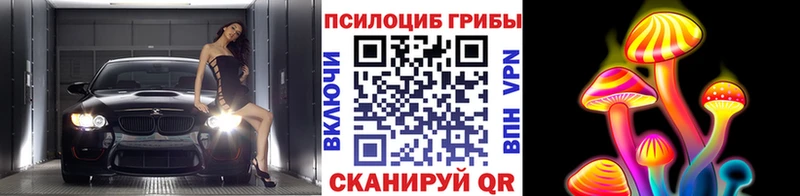 Галлюциногенные грибы Cubensis  Калтан 